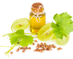 Grape seed oil in a glass bottle, seeds and fruit with leaves isolated on white background
